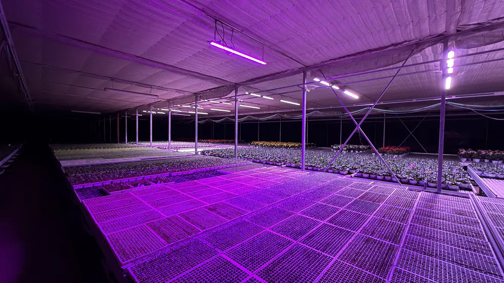Tecnologie LED slide 1