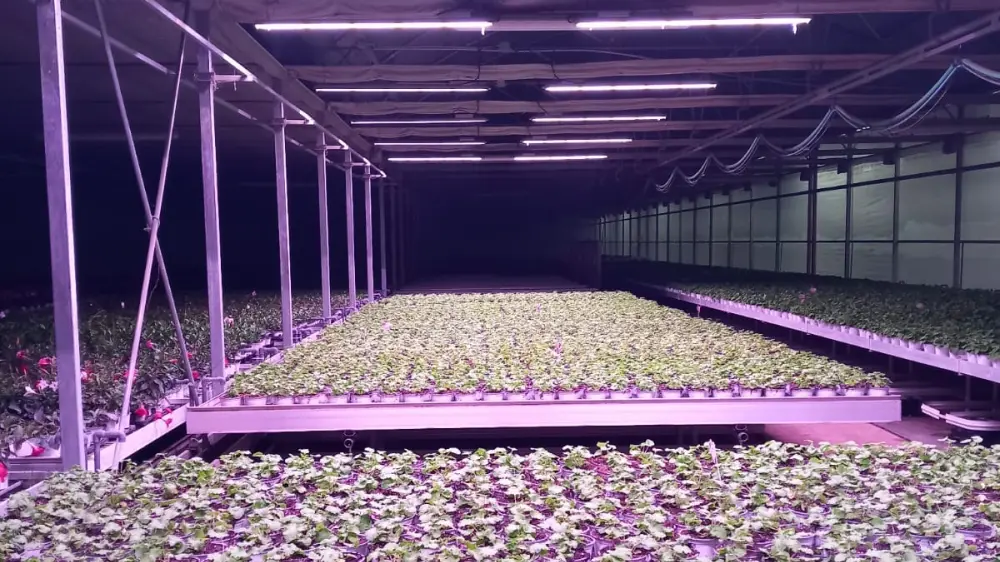 Tecnologie LED slide 3