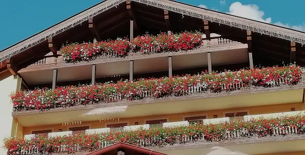 Servizi per Hotel