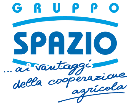 Gruppo Spazio Partner