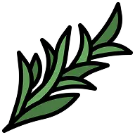 Aromatiche