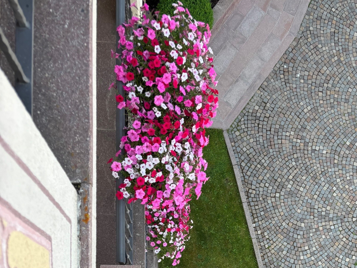 Hotel Lagorai immagine 2