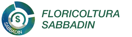 Floricoltura Sabbadin Logo